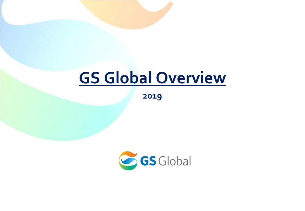 GS Global Overview 2019 Table of Contents