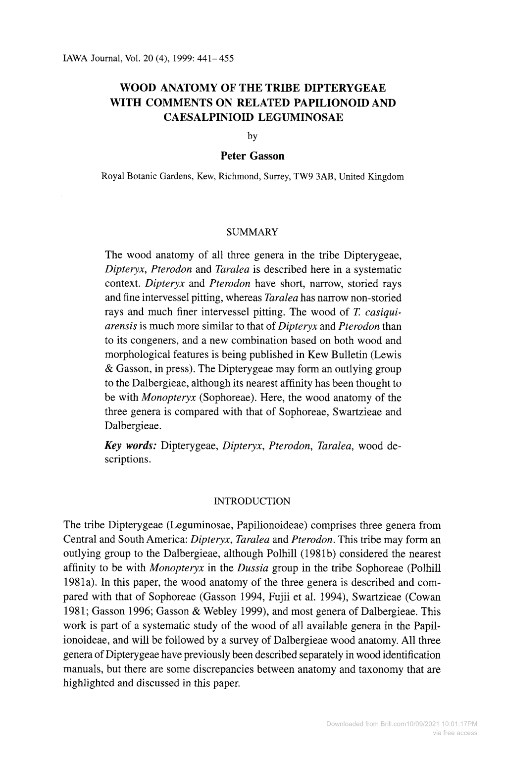 WOOD ANATOMY of the TRIBE DIPTERYGEAE with COMMENTS on RELATED PAPILIONOID and CAESALPINIOID LEGUMINOSAE Peter Gasson