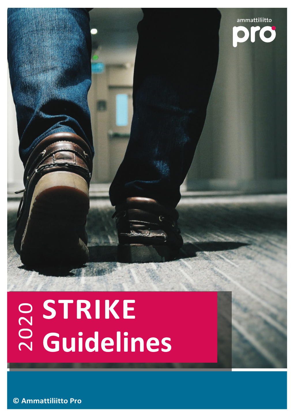 0 STRIKE Guidelines