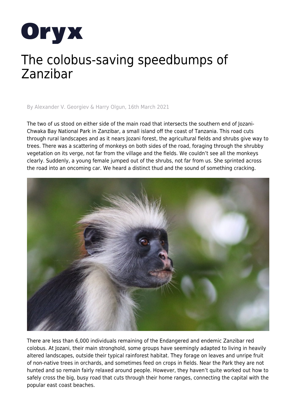 The Colobus-Saving Speedbumps of Zanzibar