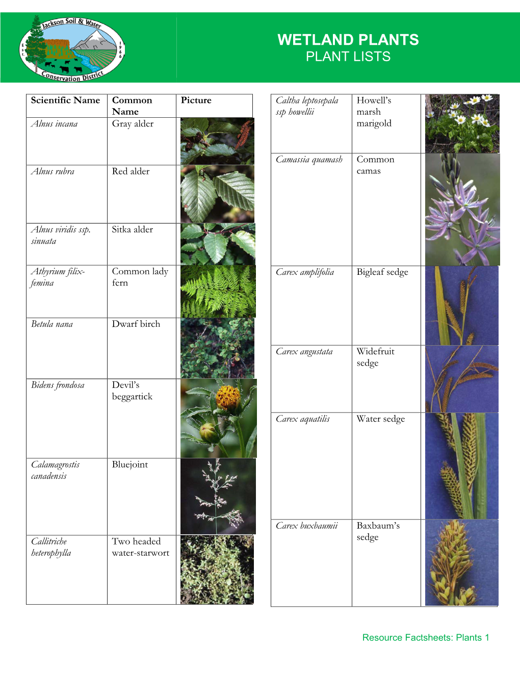 Wetland Plants Plant Lists