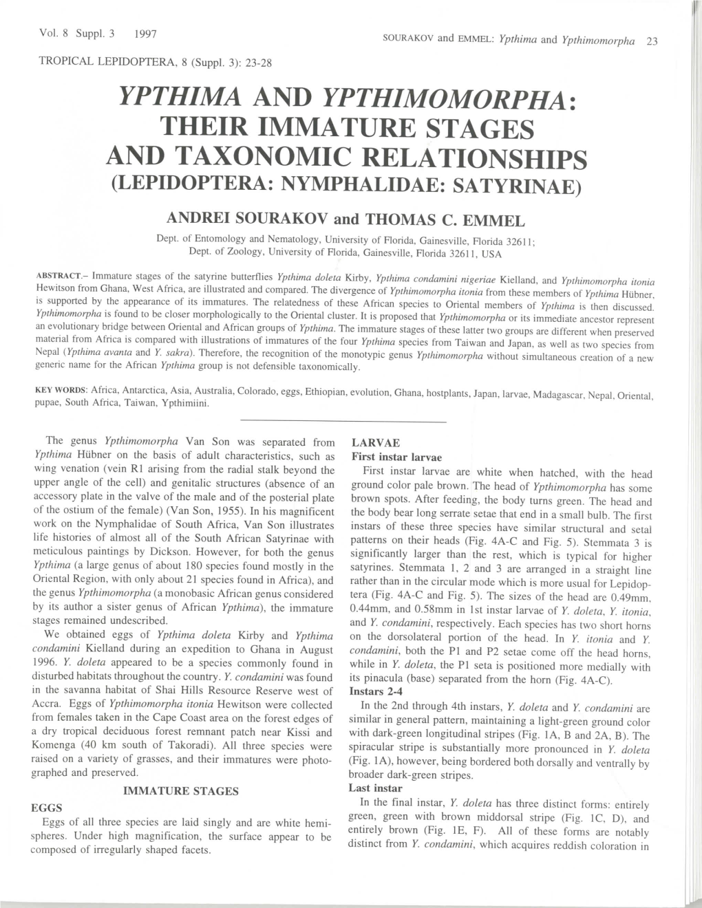 YPTHIMA and YPTHIMOMORPHA: THEIR IMMATURE STAGES and TAXONOMIC RELATIONSHIPS (LEPIDOPTERA: NYMPHALIDAE: SATYRINAE) ANDREI SOURAKOV and THOMAS C