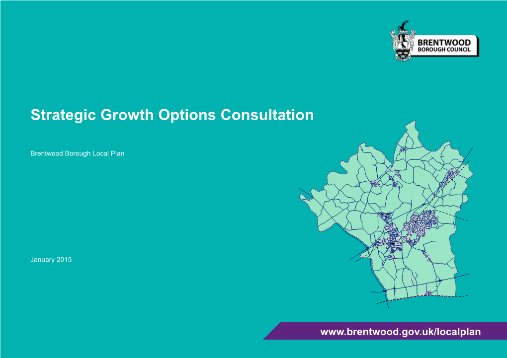 Strategic Growth Options Consultation