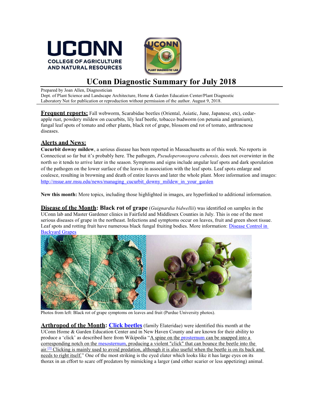 Uconn Diagnostic Summary for July 2018