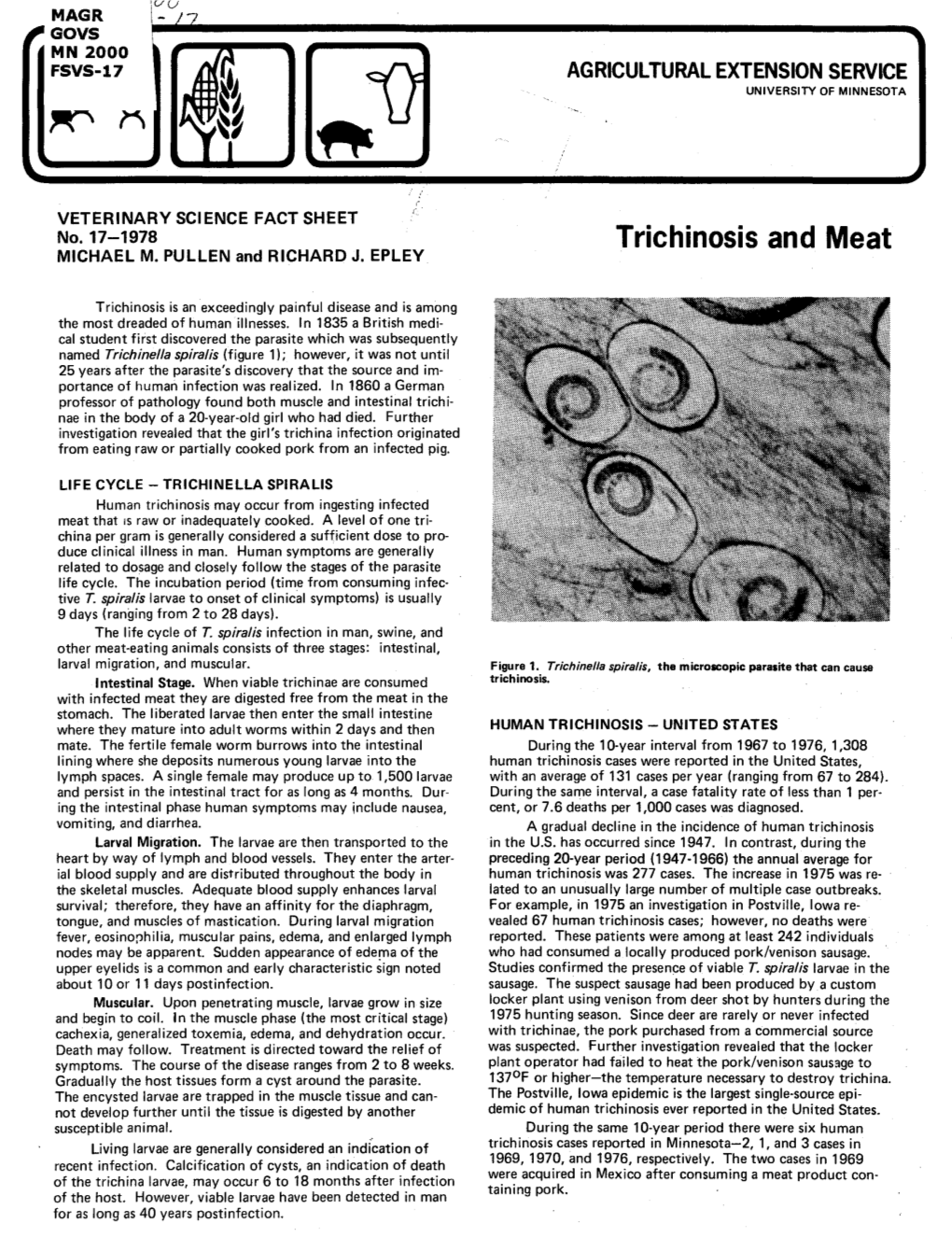 Trichinosis and Meat MICHAEL M