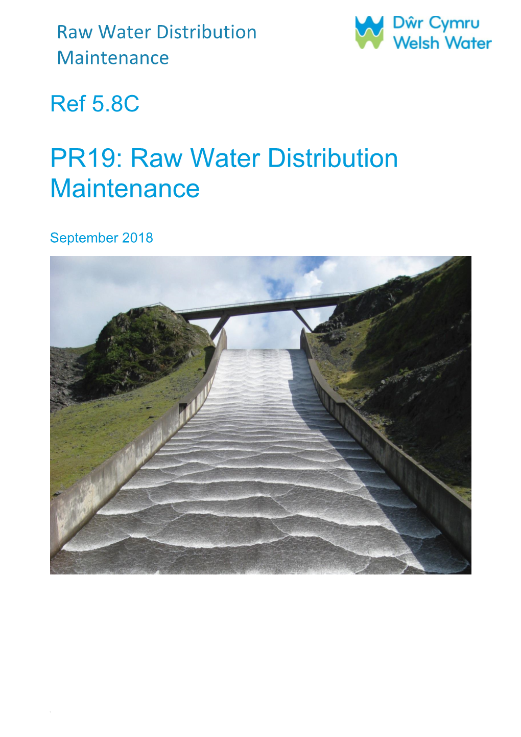 Raw Water Distribution Maintenance