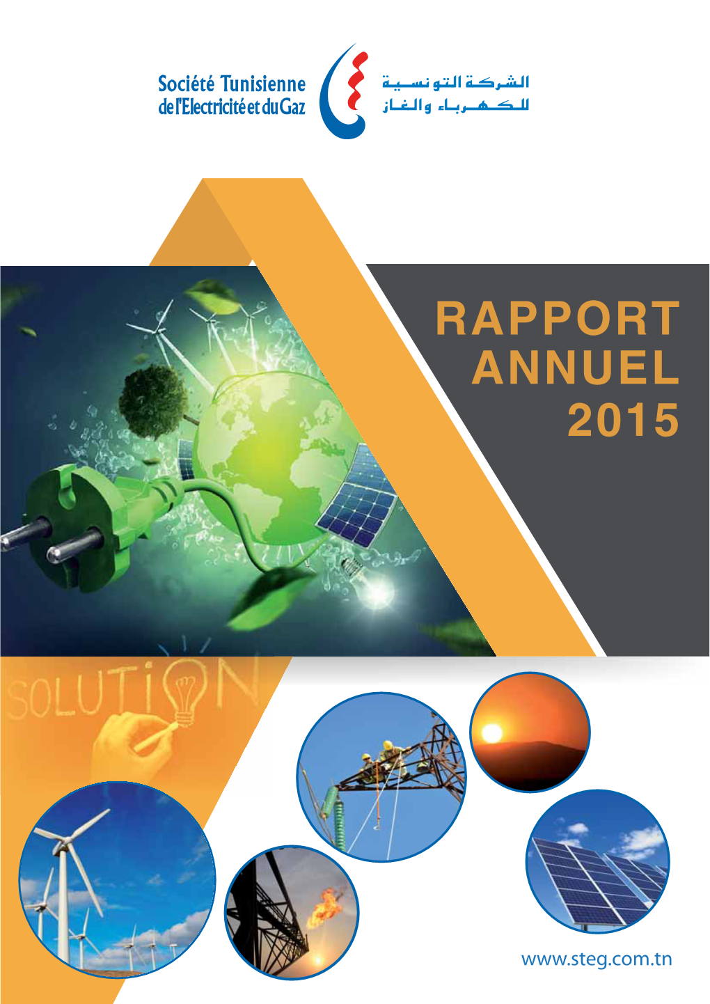 Rapport Annuel Steg 2015 Final.Indd