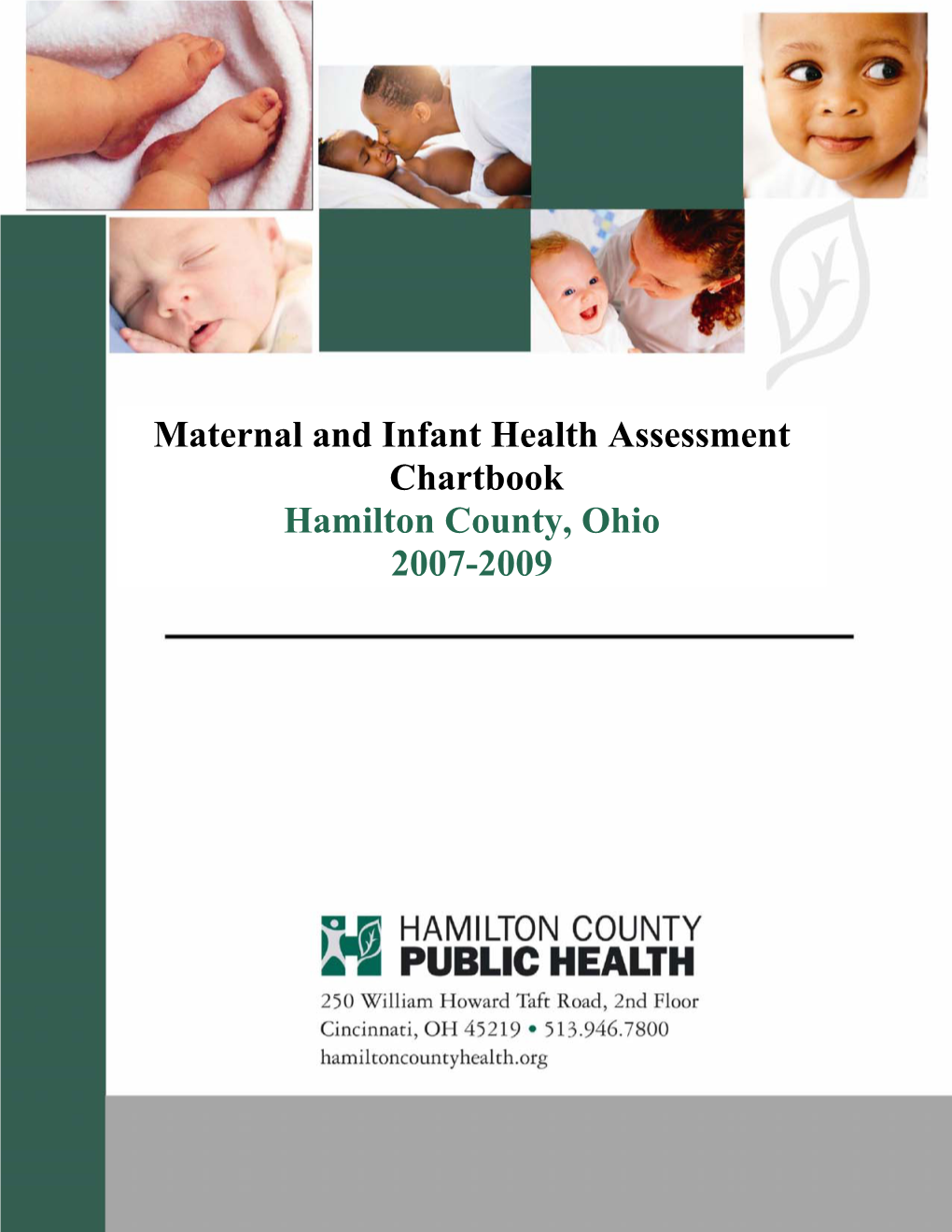 Maternal and Infant Health Assessment Chartbook Hamilton