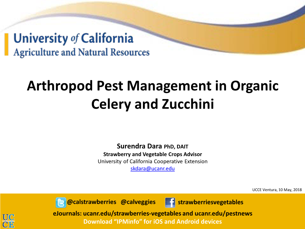 Arthropod Pest Management in Organic Celery and Zucchini