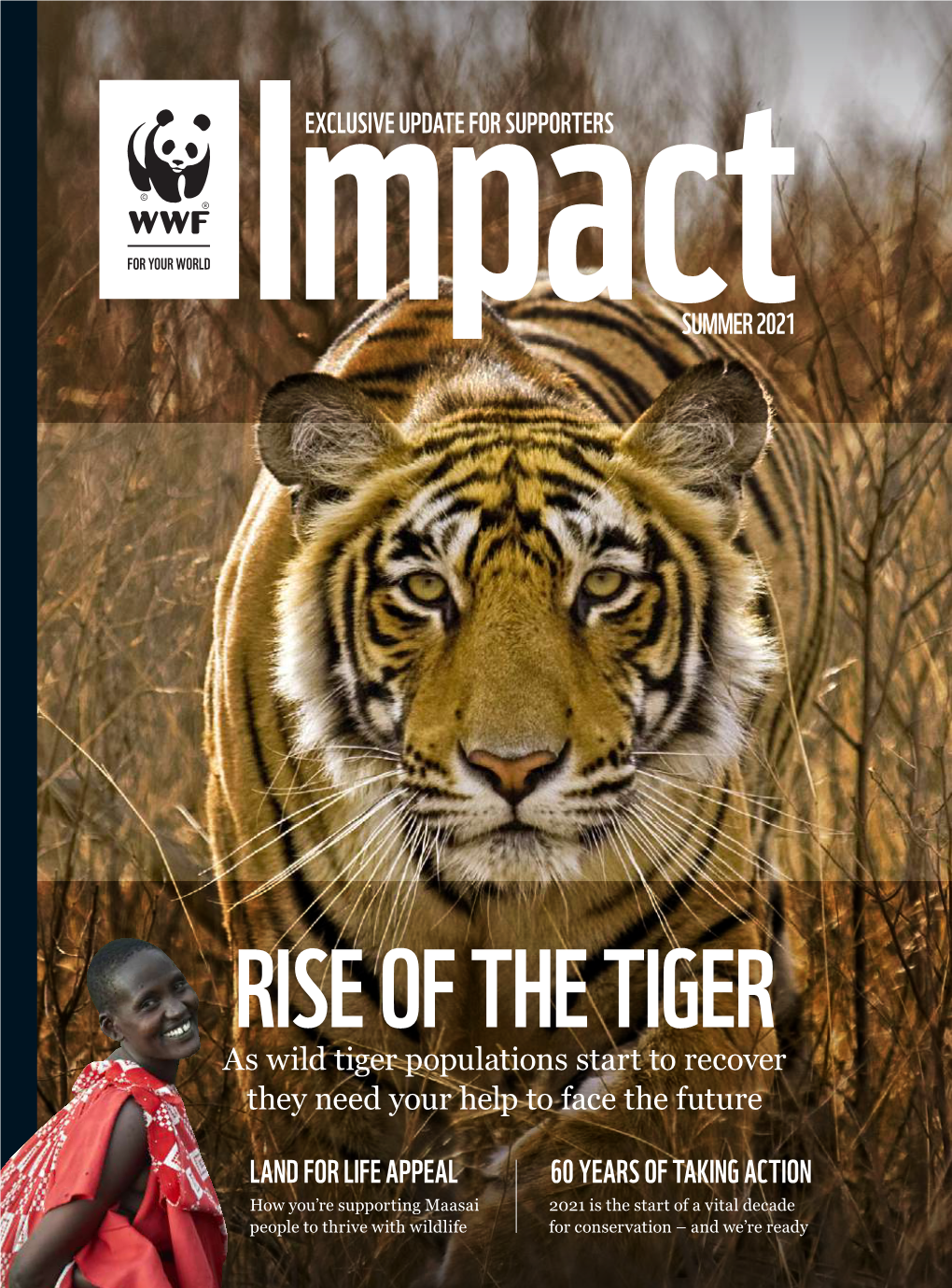 RISE of the TIGER As Wild Tiger Populations Start to Recover They Need Your Help to Face the Future