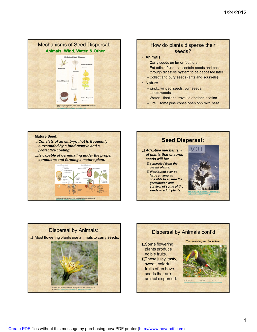 1/24/2012 1 Mechanisms of Seed Dispersal