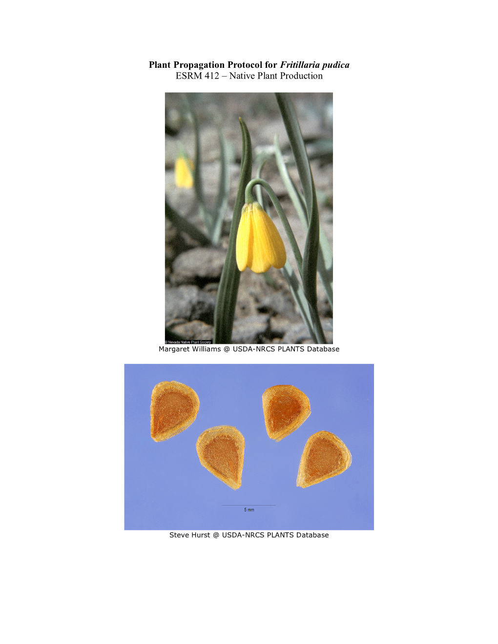 Plant Propagation Protocol for Fritillaria Pudica ESRM 412 – Native Plant Production