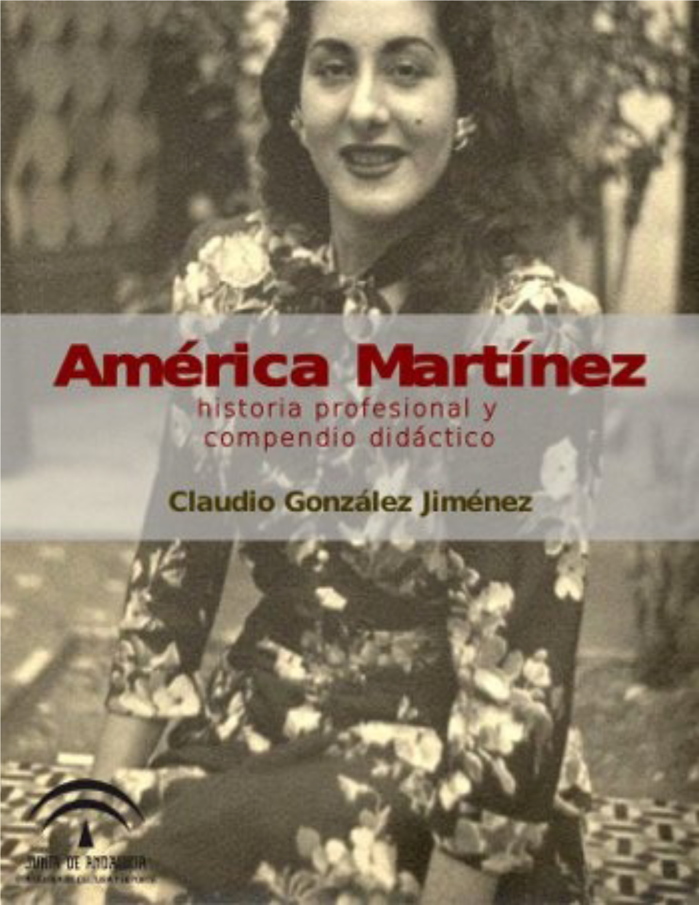 América Martínez Historia Profesional Y Compendio Didáctico