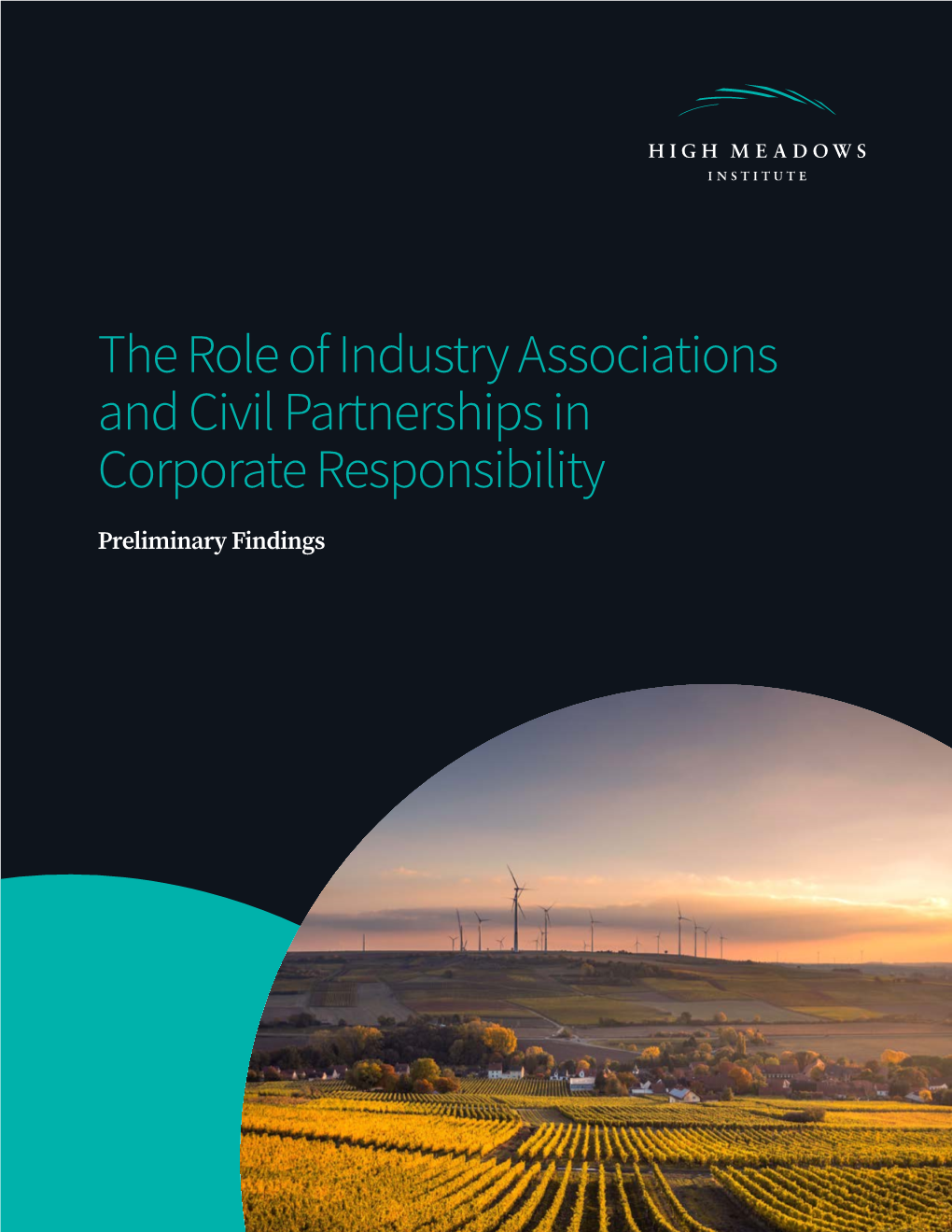The Role of Industry Associations and Civil Partnerships in Corporate Responsibility