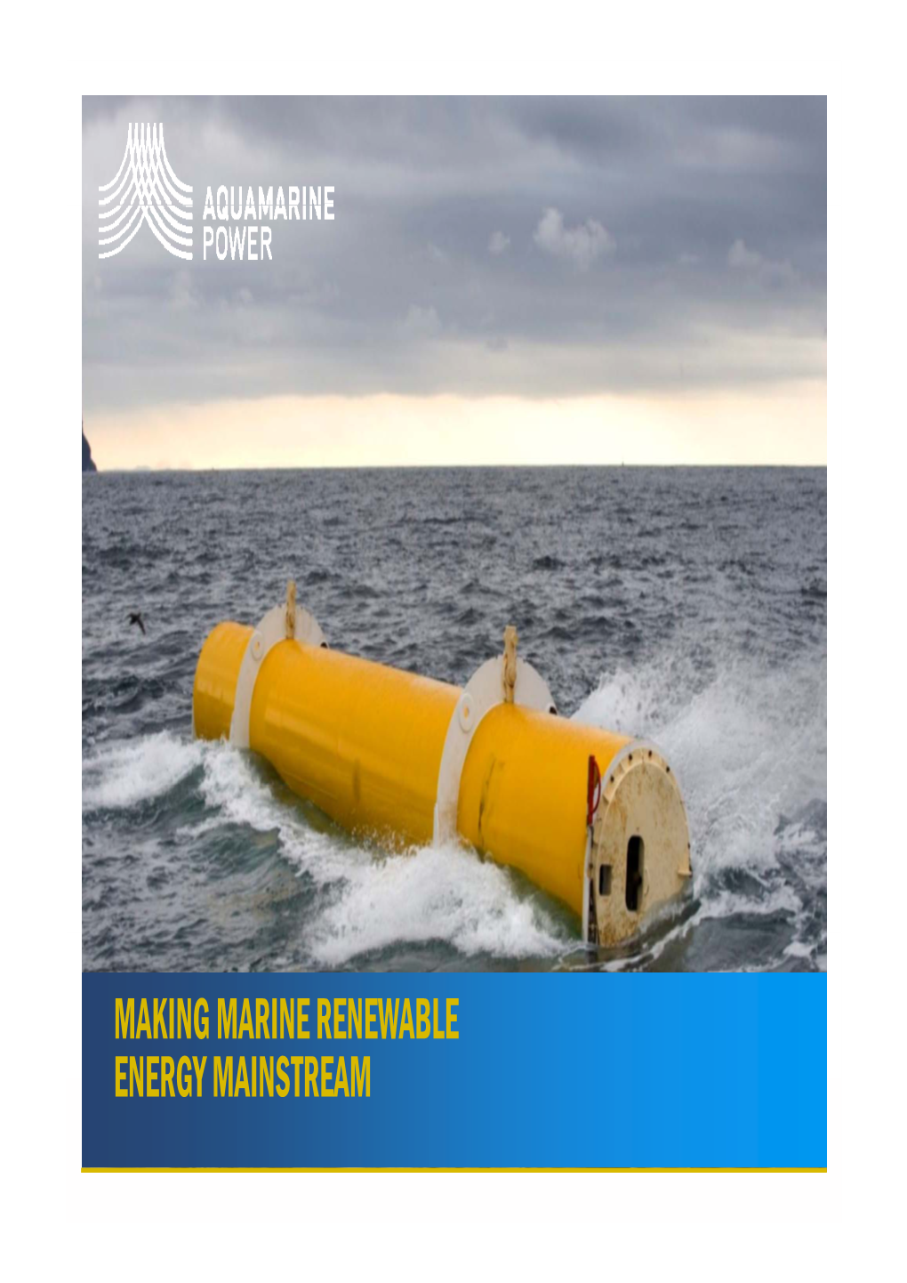 Making Marine Renewable Energy Mainstream