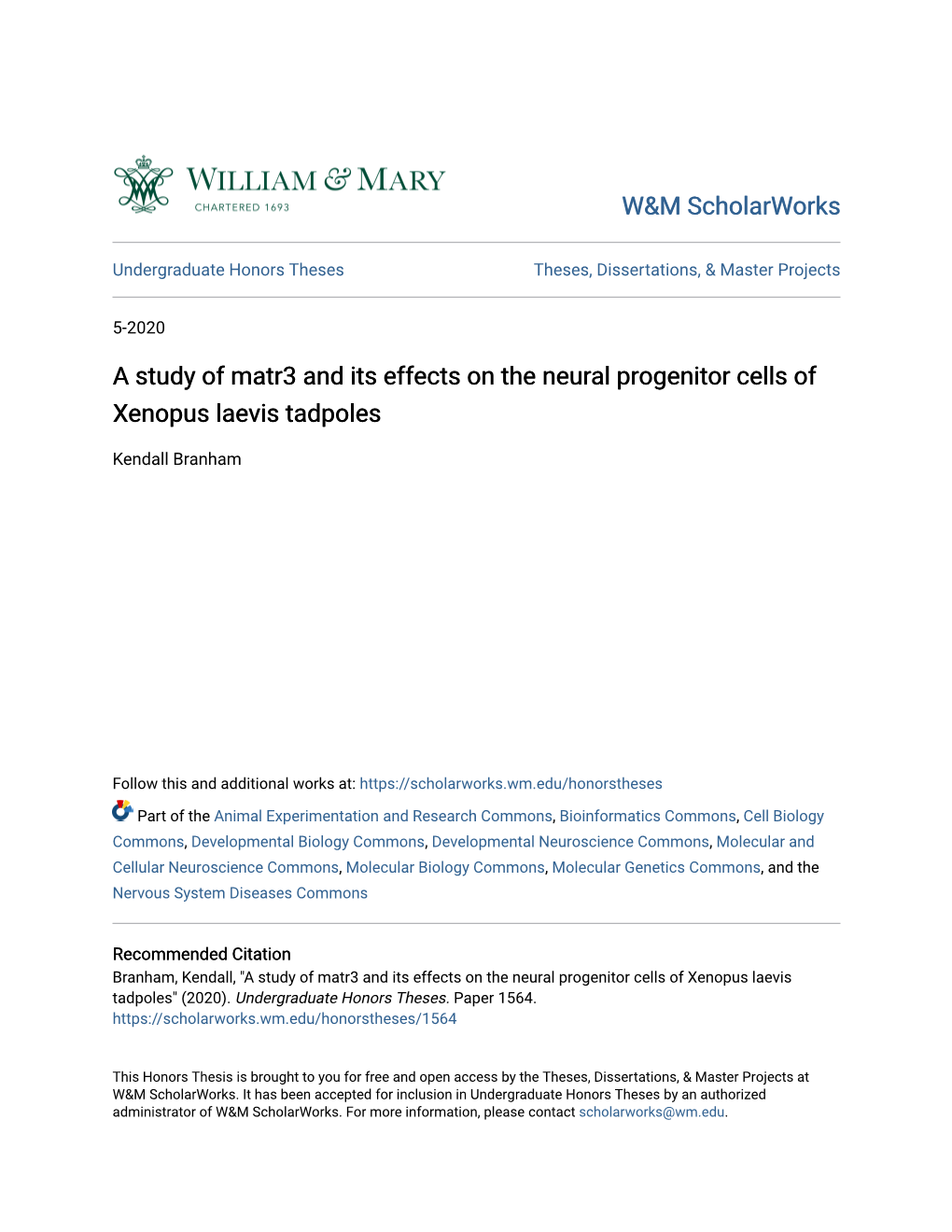 A Study of Matr3 and Its Effects on the Neural Progenitor Cells of Xenopus Laevis Tadpoles