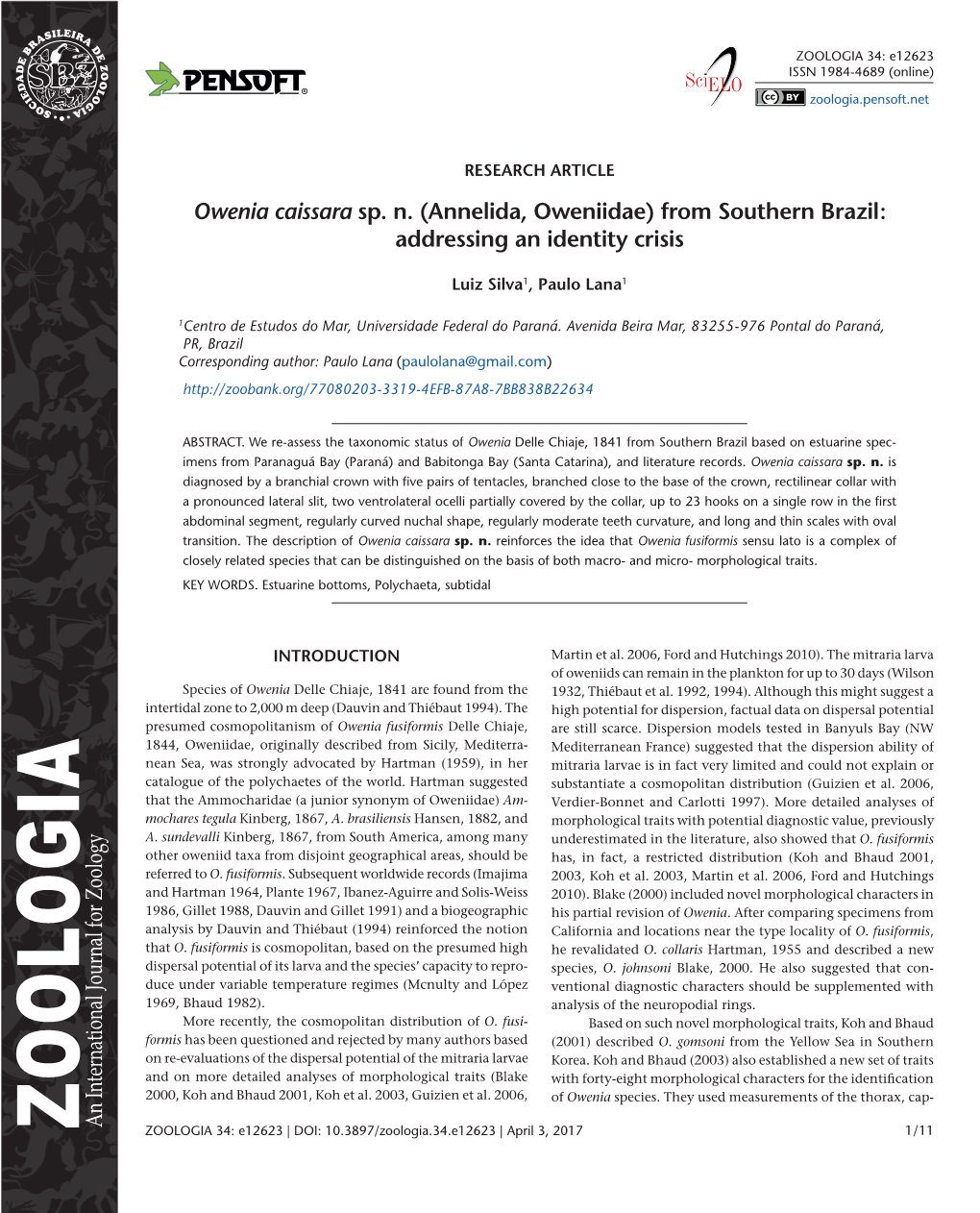 ﻿Owenia Caissara Sp. N. (Annelida, Oweniidae) from Southern Brazil: Addressing an Identity Crisis