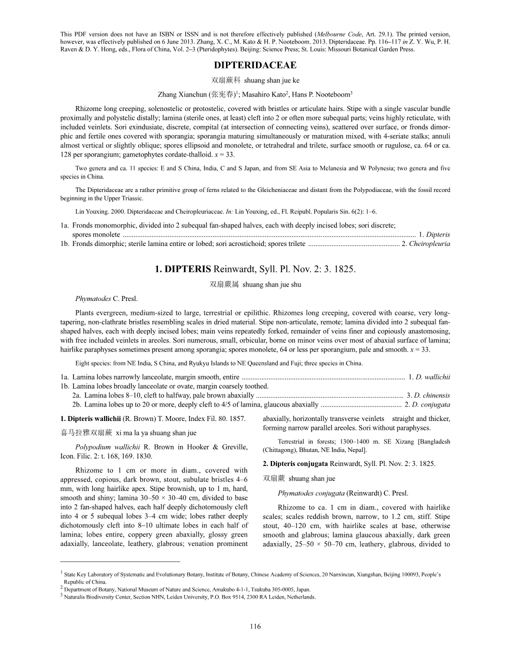 Dipteridaceae (PDF)