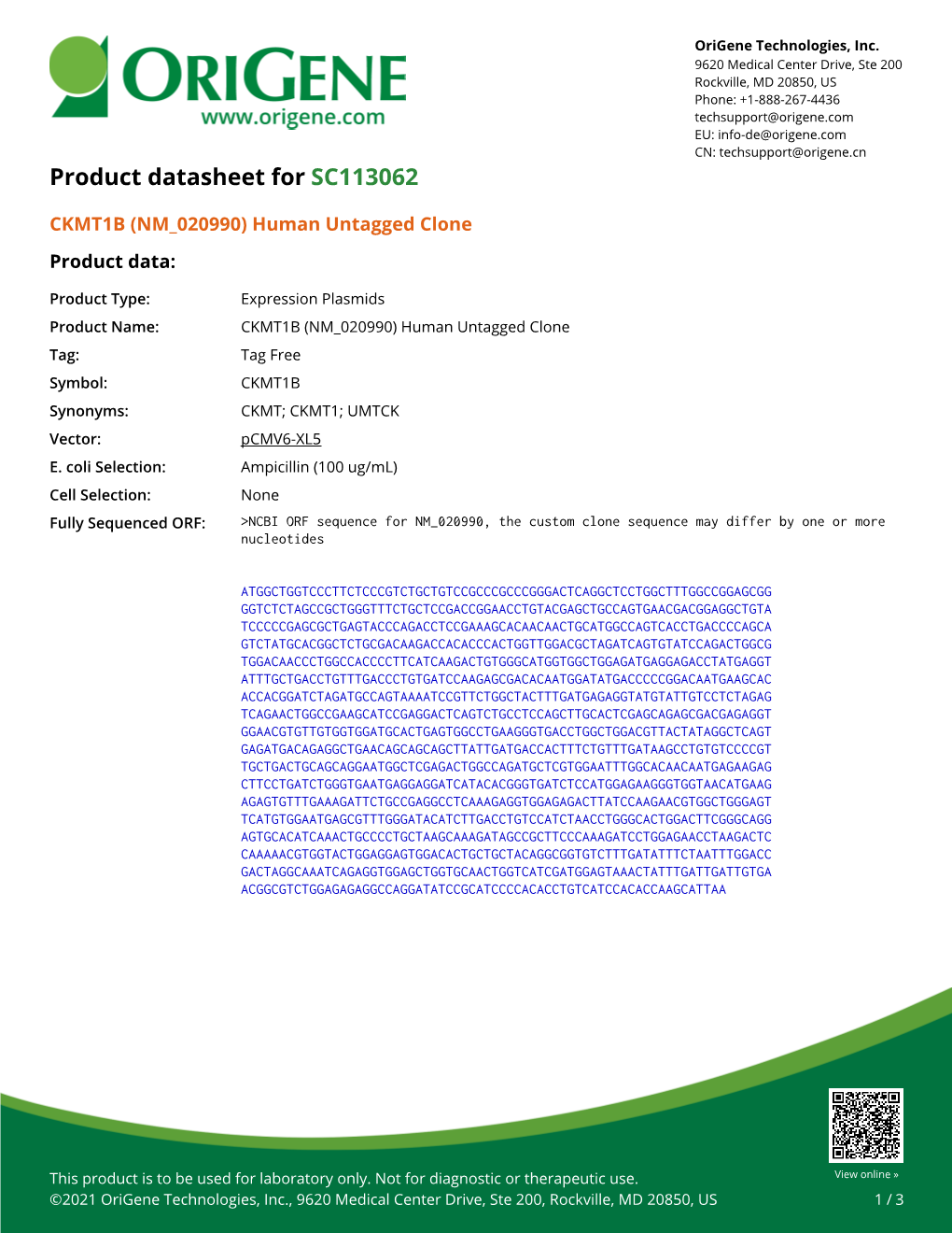 CKMT1B (NM 020990) Human Untagged Clone – SC113062
