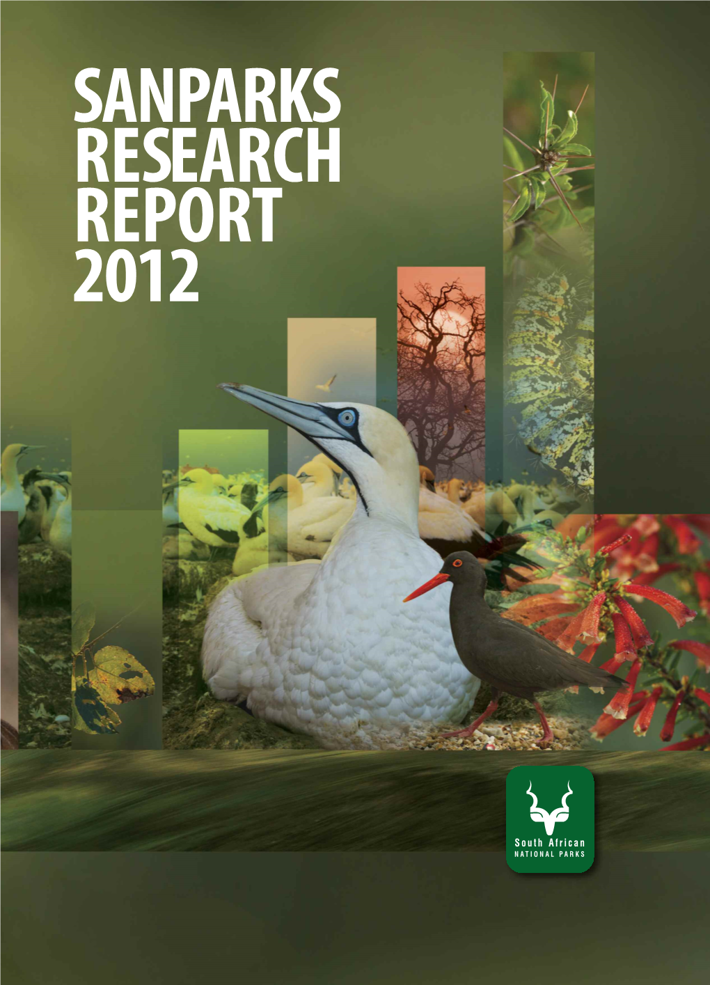 Sanparks Research Report 2012, Published August 2013 CONTENTS