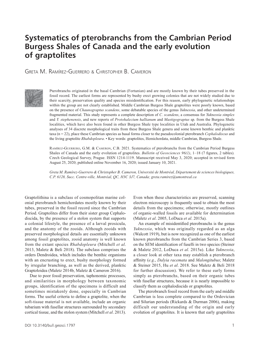 Systematics of Pterobranchs from the Cambrian Period Burgess Shales of Canada and the Early Evolution of Graptolites