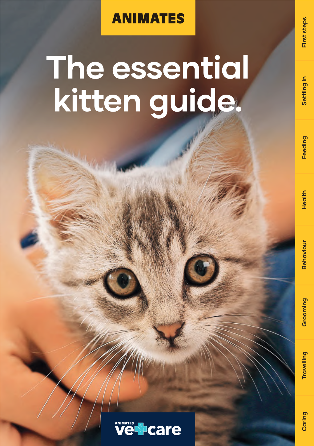 The Essential Kitten Guide