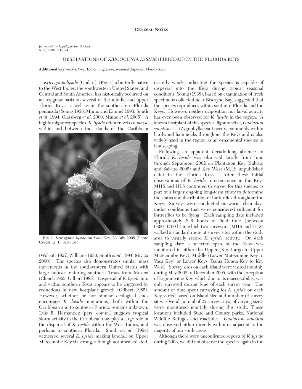 Observations of Kricogonia Lyside (Pieridae) in the Florida Keys