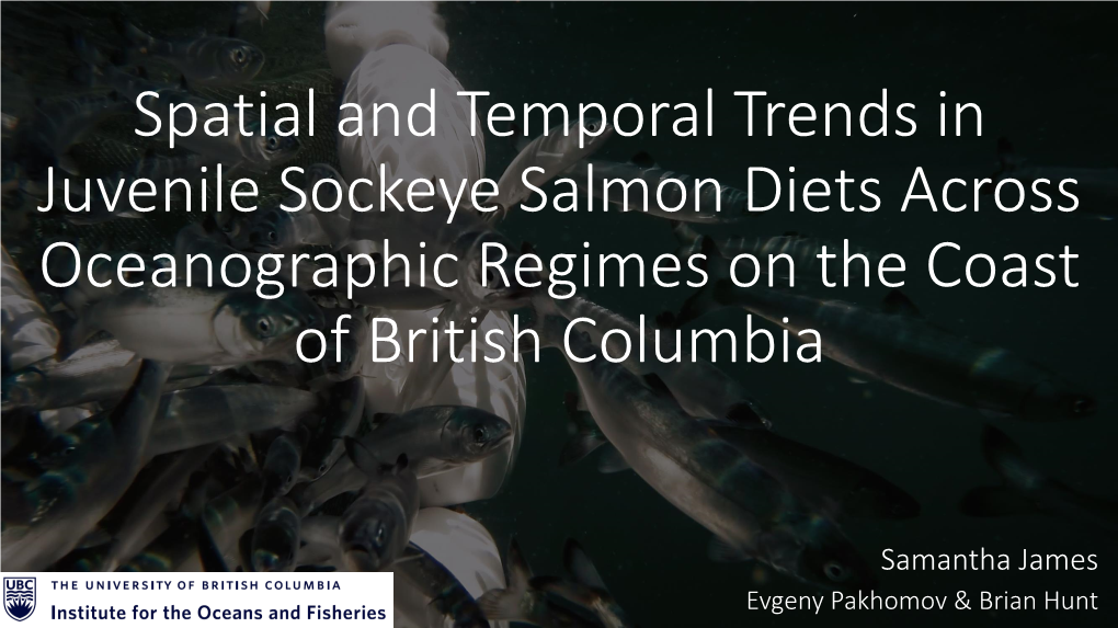 Spatial and Temporal Trends in Juvenile Sockeye Salmon Diets Across Oceanographic Regimes on the Coast of British Columbia