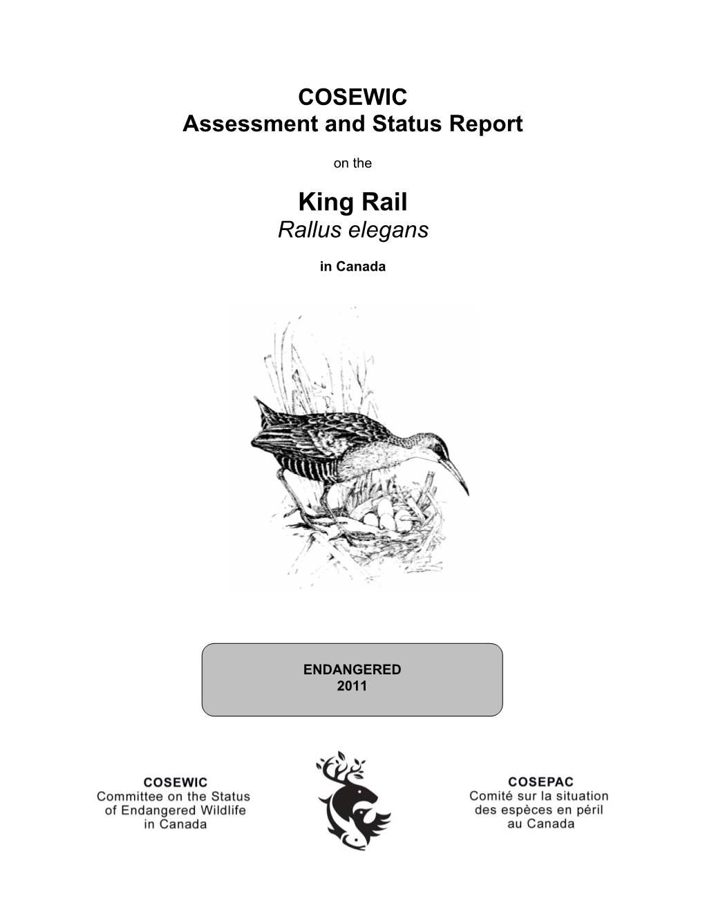 King Rail (Rallus Elegans) Conservation Plan, Version 1