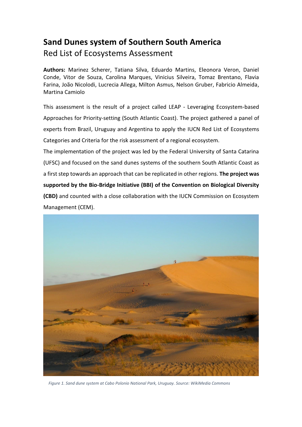 Sand Dunes System of Southern South America Red List of Ecosystems Assessment