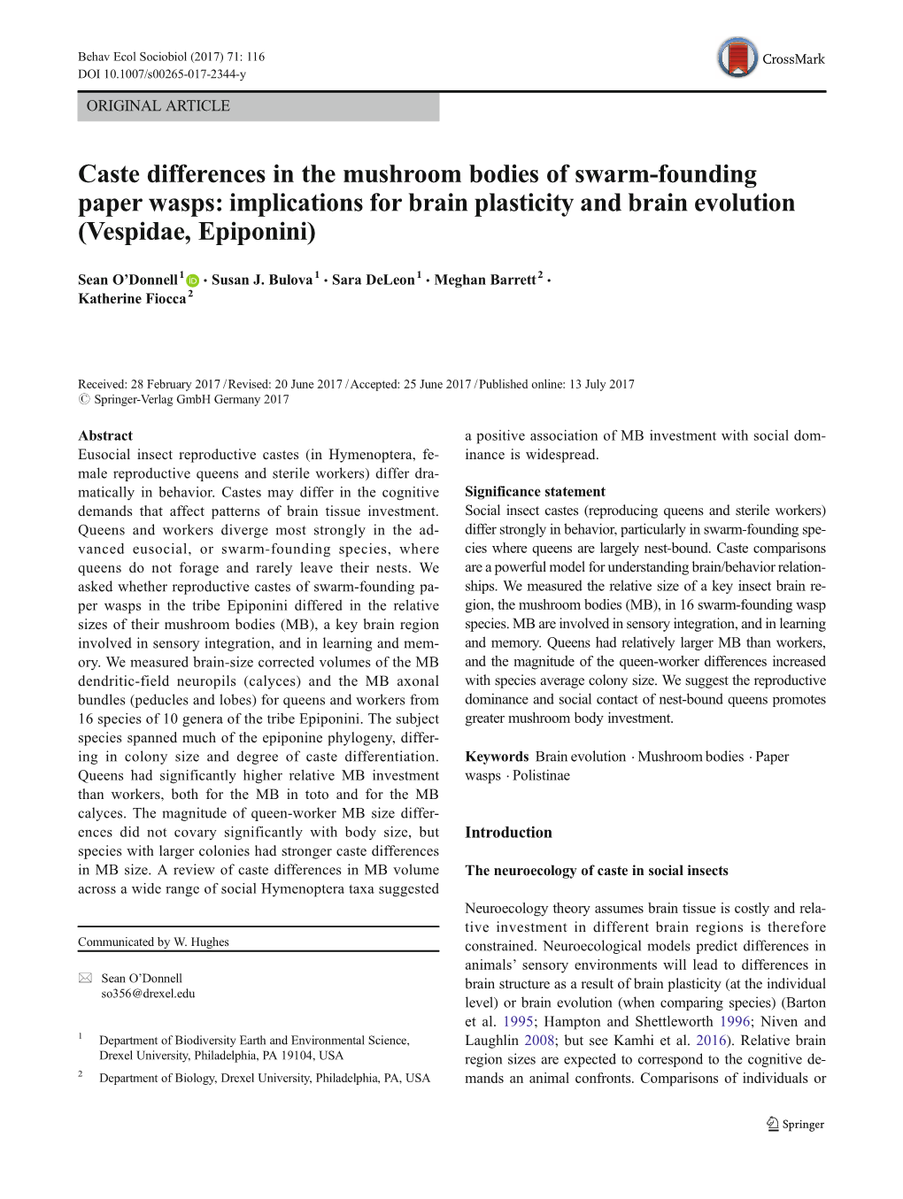Caste Differences in the Mushroom Bodies of Swarm-Founding Paper Wasps: Implications for Brain Plasticity and Brain Evolution (Vespidae, Epiponini)