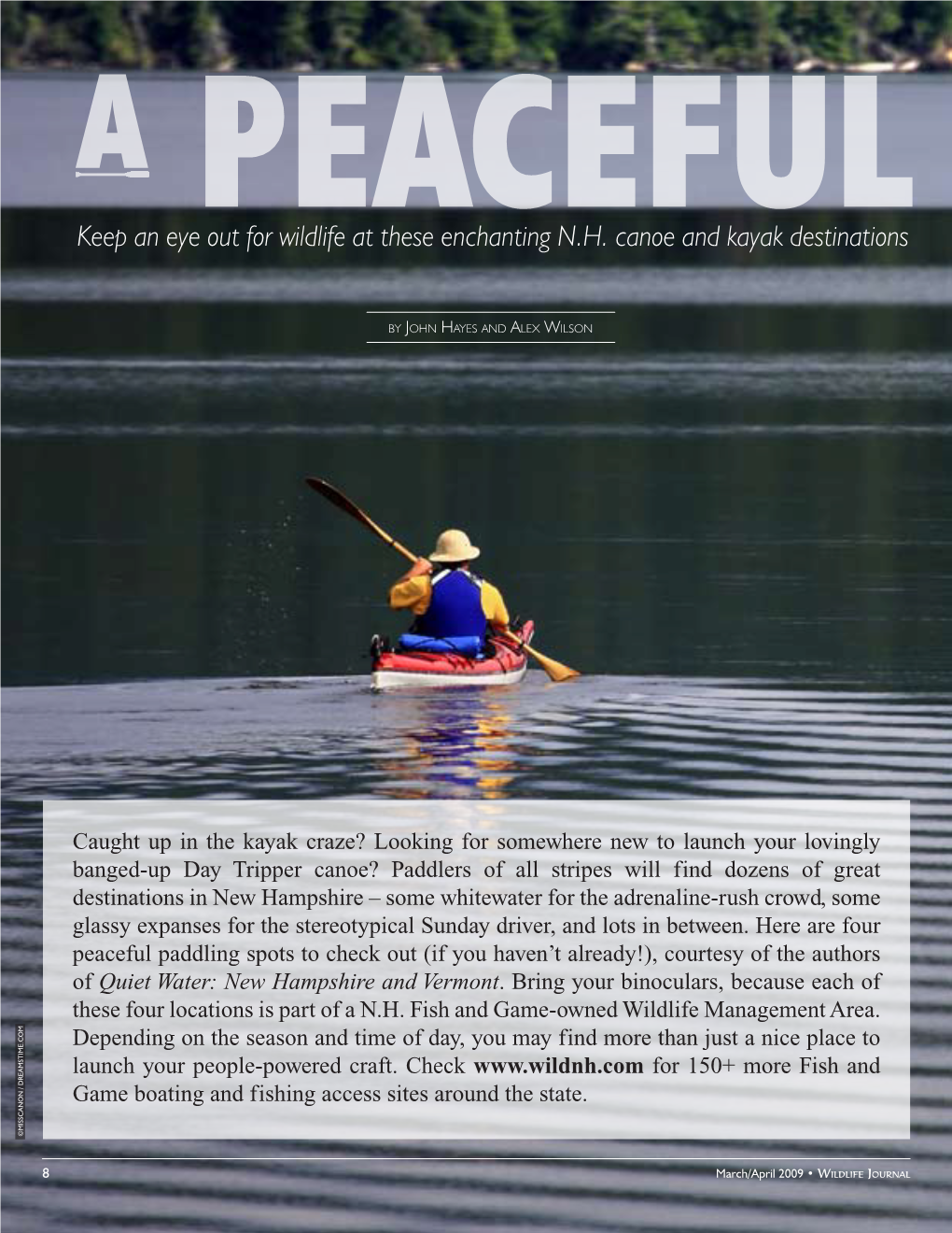 NH Wildlife Journal: a Peaceful Paddle