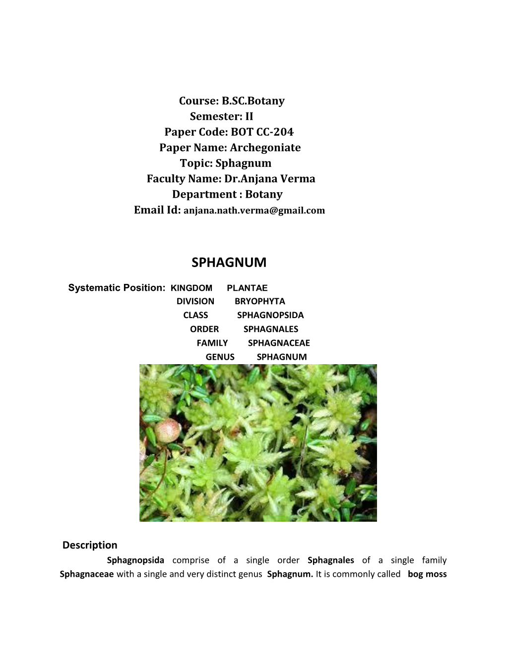 Sphagnum Faculty Name: Dr.Anjana Verma Department : Botany Email Id: Anjana.Nath.Verma@Gmail.Com