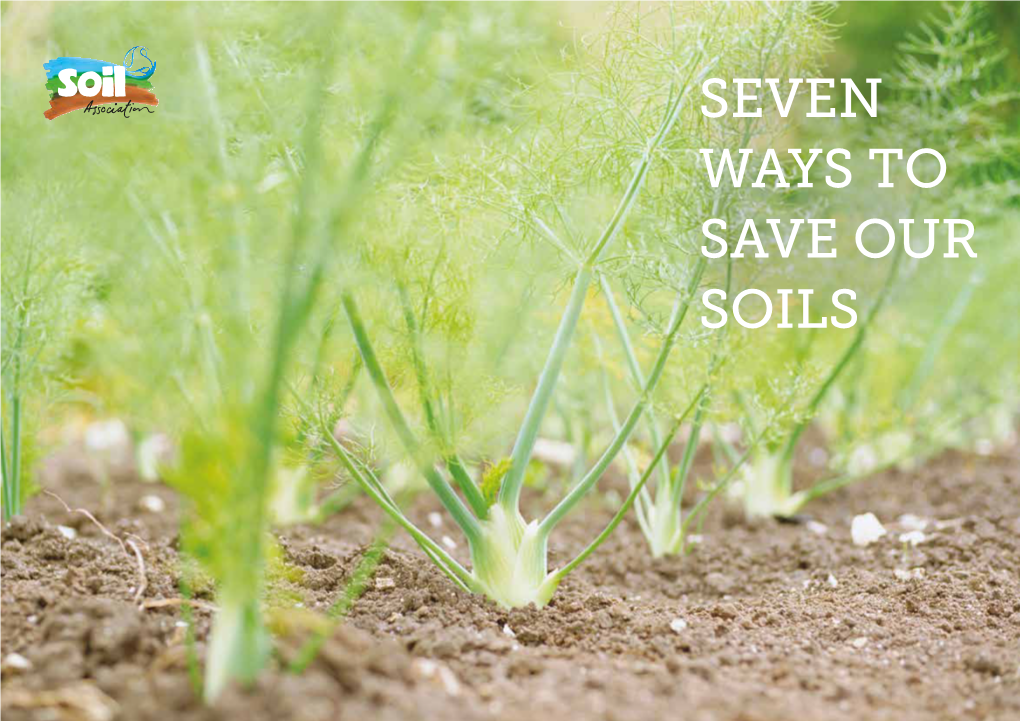 SEVEN WAYS to SAVE OUR SOILS Introduction