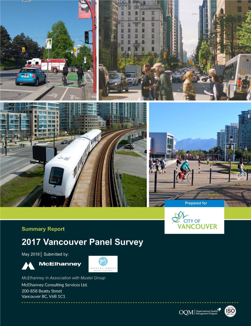 2017 Transportation Panel Survey PDF File (6.7