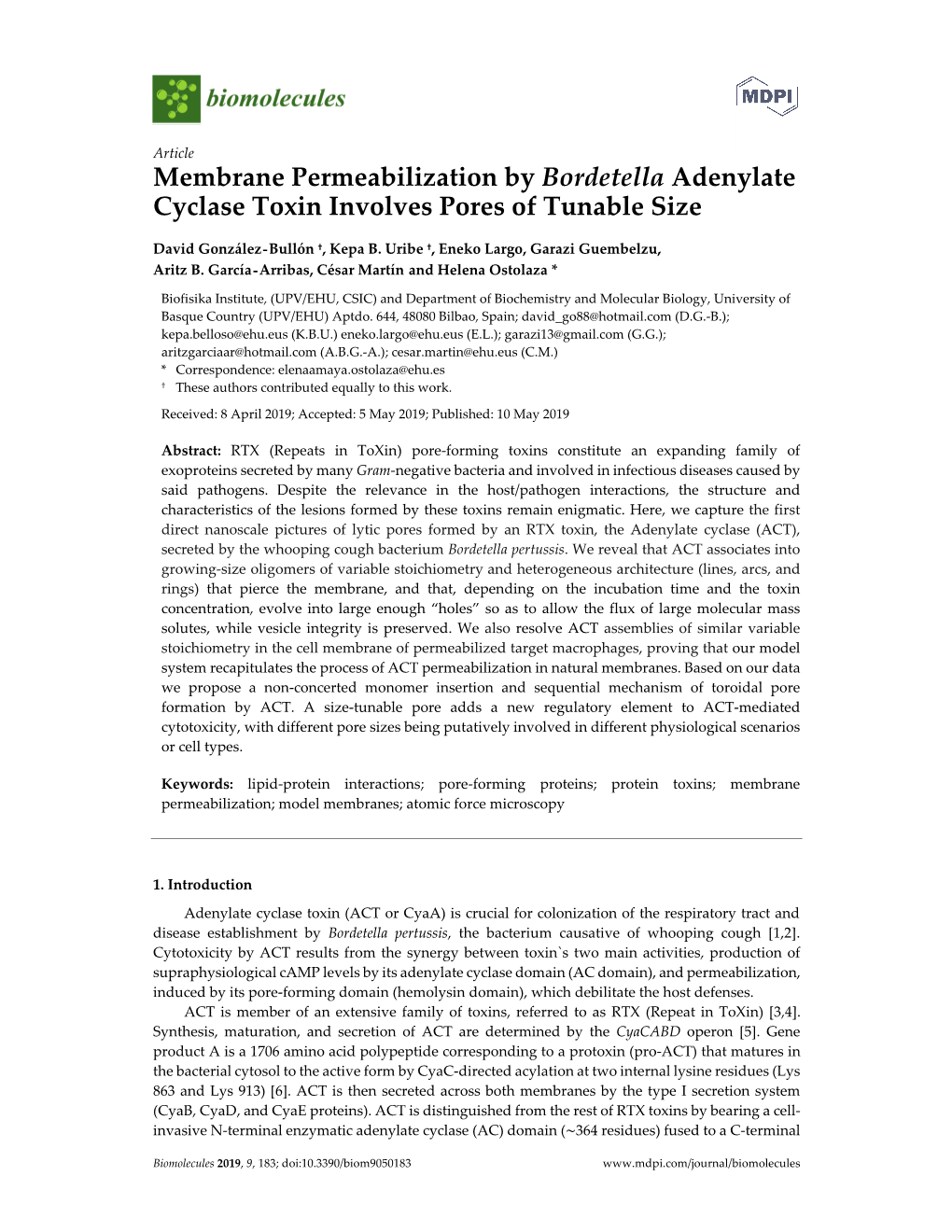 Membrane Permeabilization by Bordetella Adenylate Cyclase Toxin Involves Pores of Tunable Size