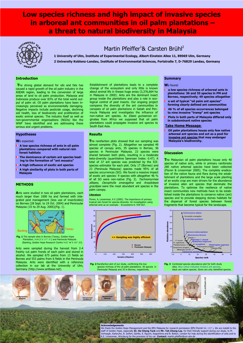 Low Species Richness and High Impact of Invasive Species in Arboreal Ant Communities in Oil Palm Plantations – a Threat to Natural Biodiversity in Malaysia