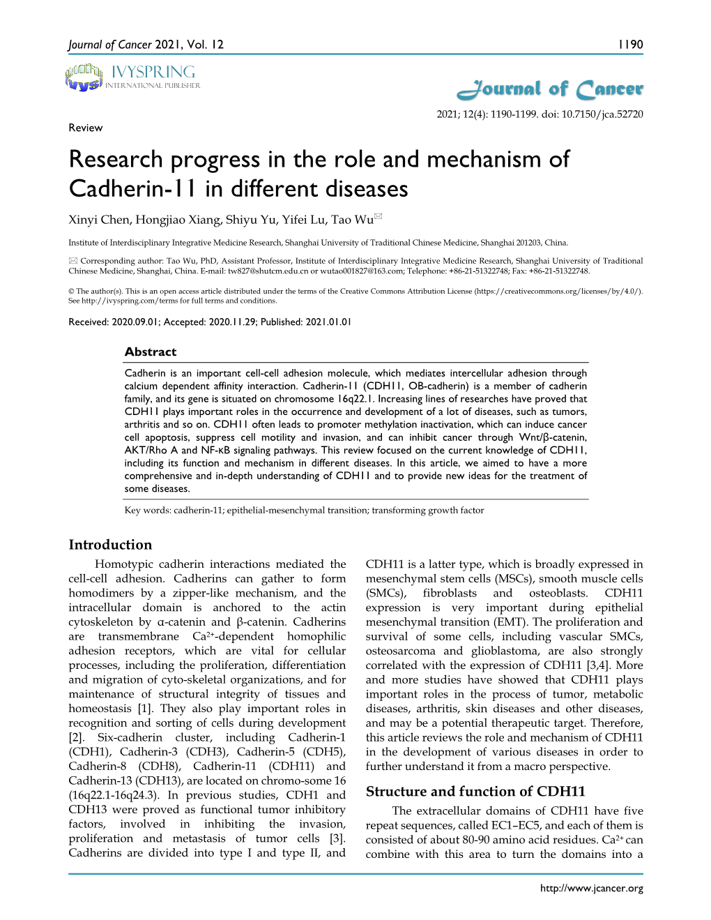 Research Progress in the Role and Mechanism of Cadherin-11 in Different Diseases Xinyi Chen, Hongjiao Xiang, Shiyu Yu, Yifei Lu, Tao Wu