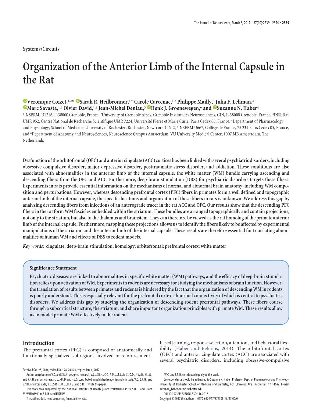 Organization of the Anterior Limb of the Internal Capsule in the Rat