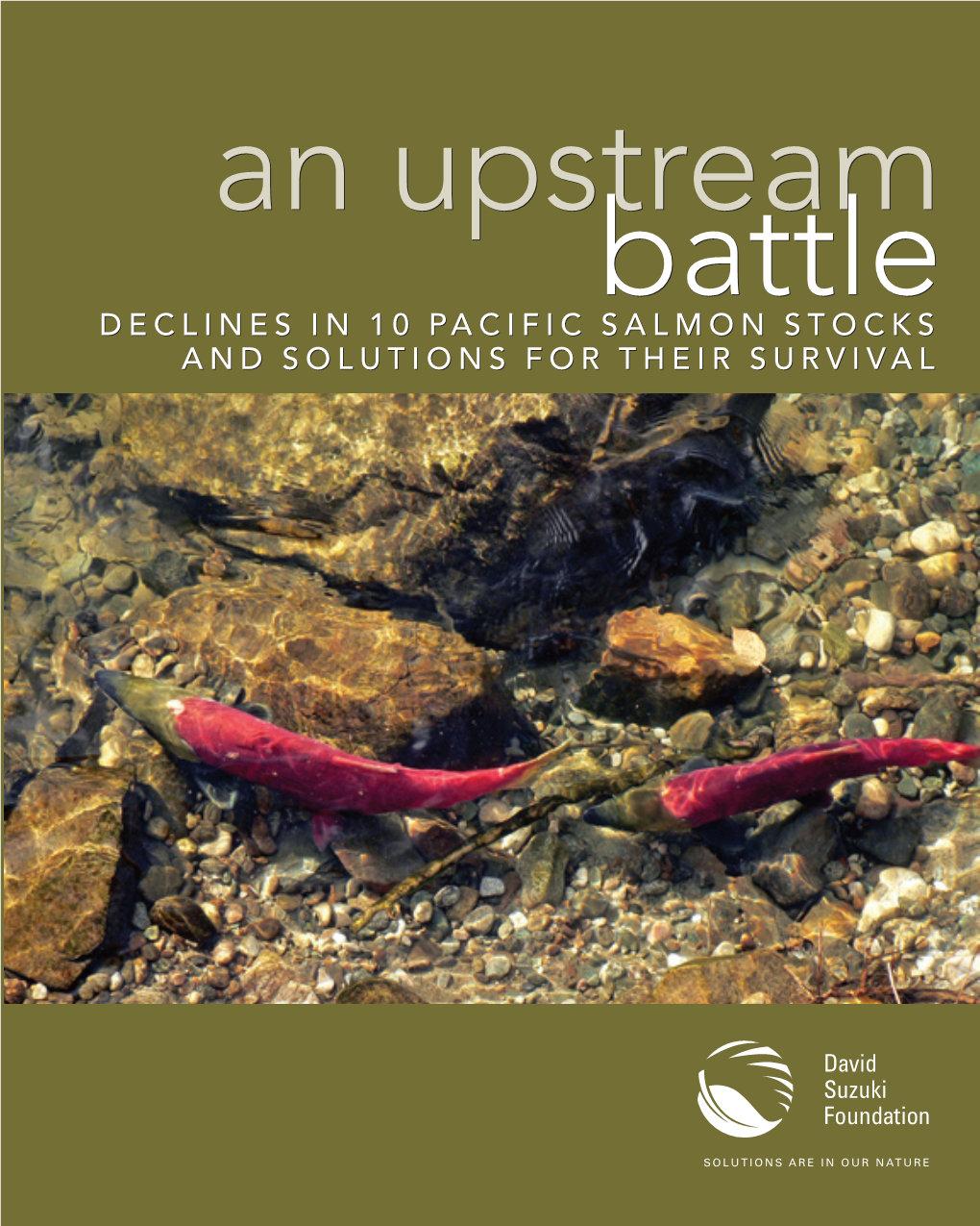 Declines in 10 Pacific Salmon Stocks and Solutions for Their Survival