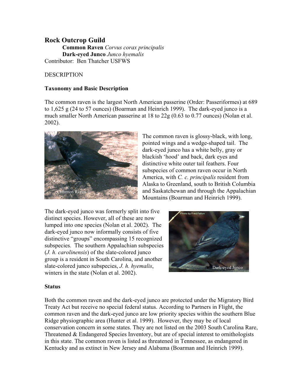 Rock Outcrop Guild Common Raven Corvus Corax Principalis Dark-Eyed Junco Junco Hyemalis Contributor: Ben Thatcher USFWS