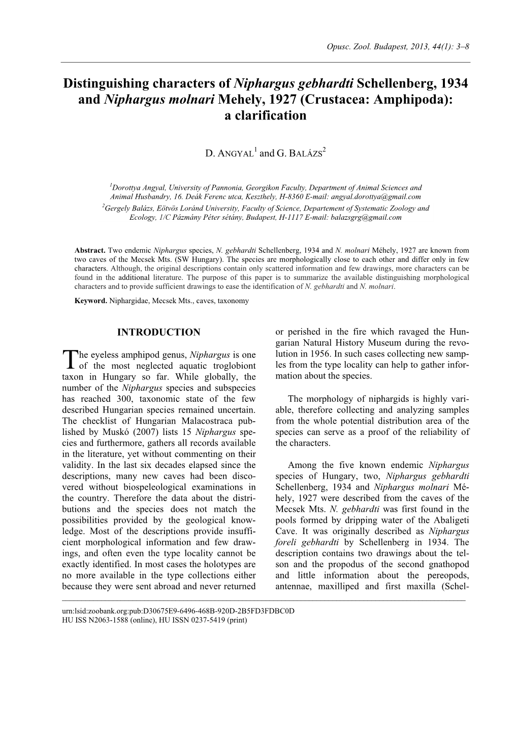 (Crustacea: Amphipoda): a Clarification