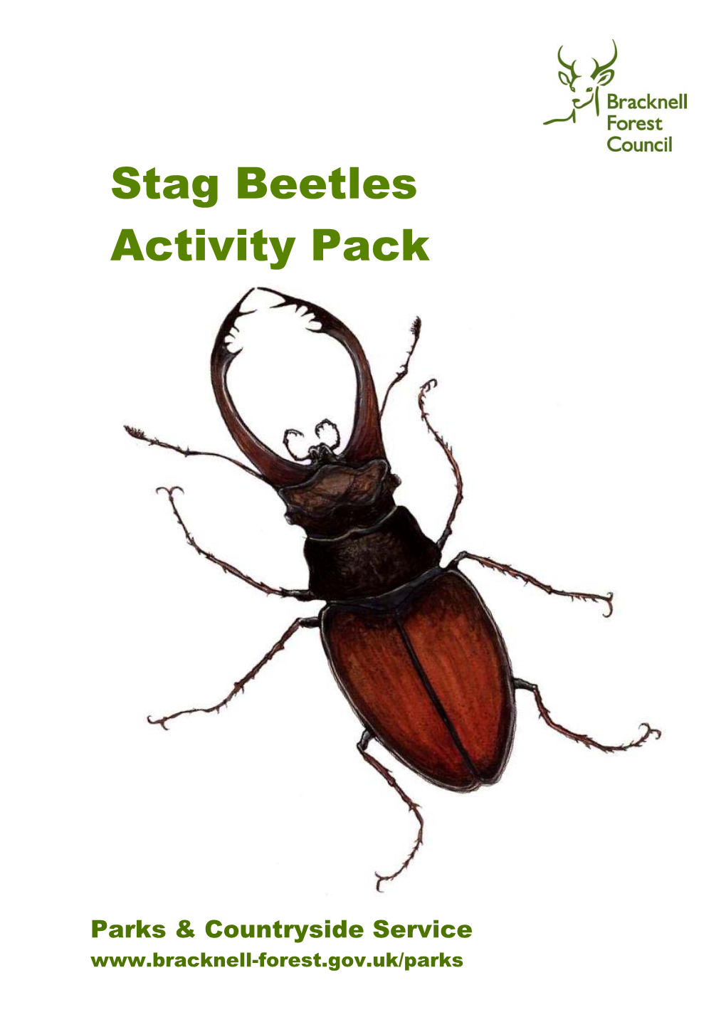 Stag Beetles Activity Pack