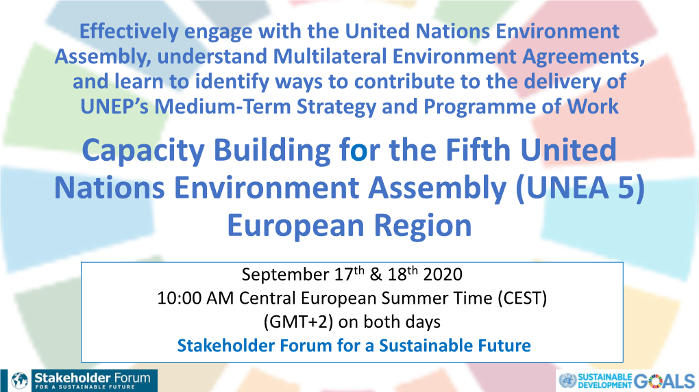 Capacity Building for the Fifth United Nations Environment Assembly (UNEA 5) European Region