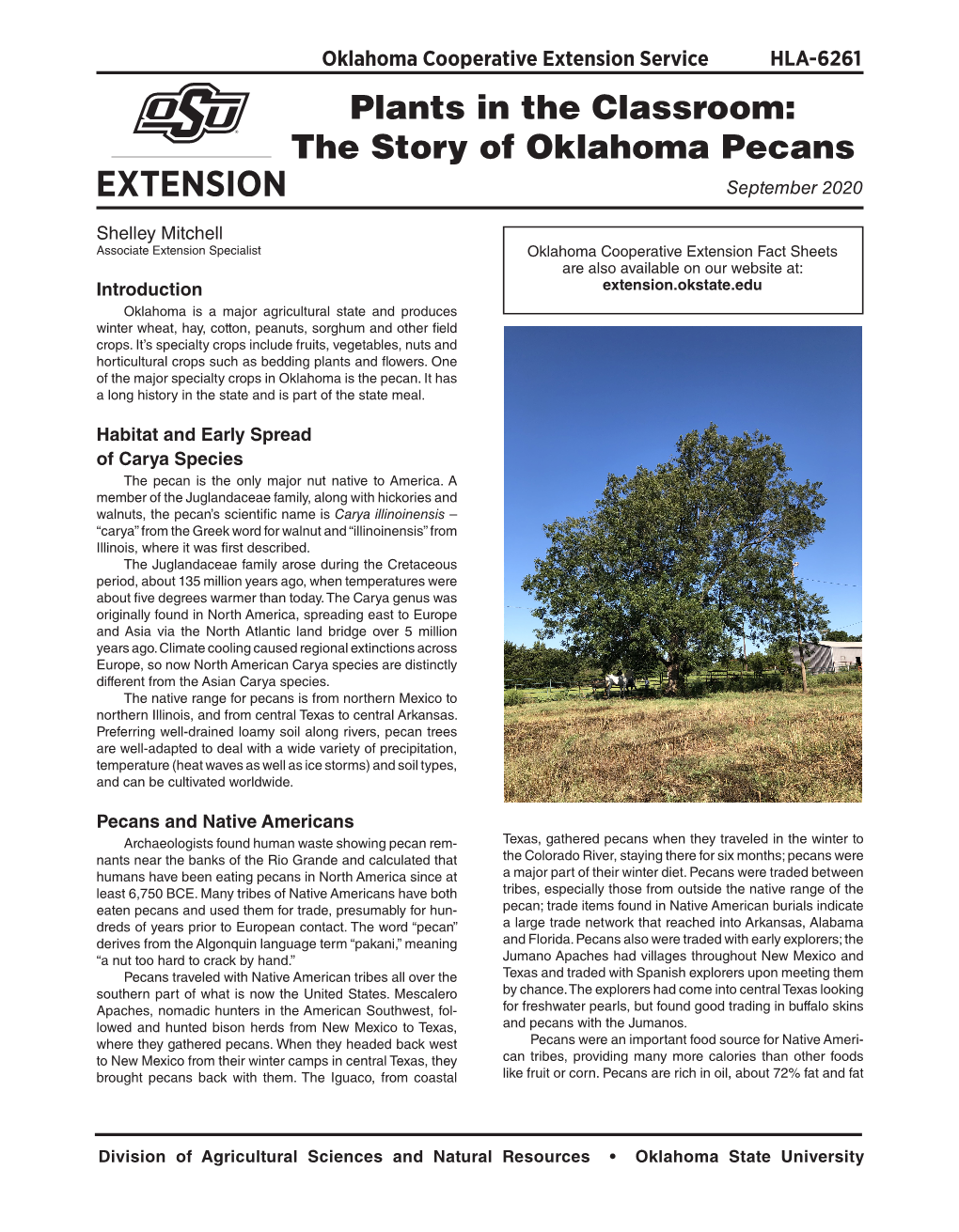 Plants in the Classroom: the Story of Oklahoma Pecans September 2020