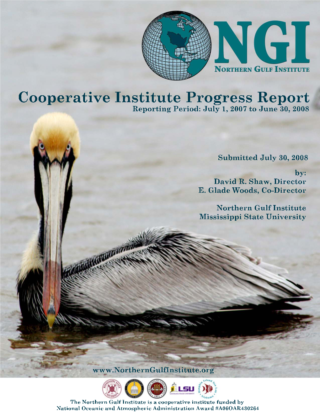 NGI Progress Report 2008