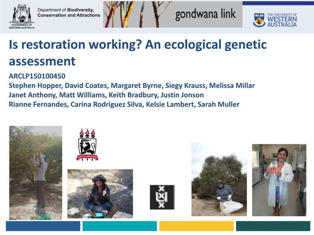 Genetic Diversity – Hakea Laurina • Similar Levels of Diversity in Restored Populations and Remnants • Seed Collections Have Captured Available Genetic Diversity