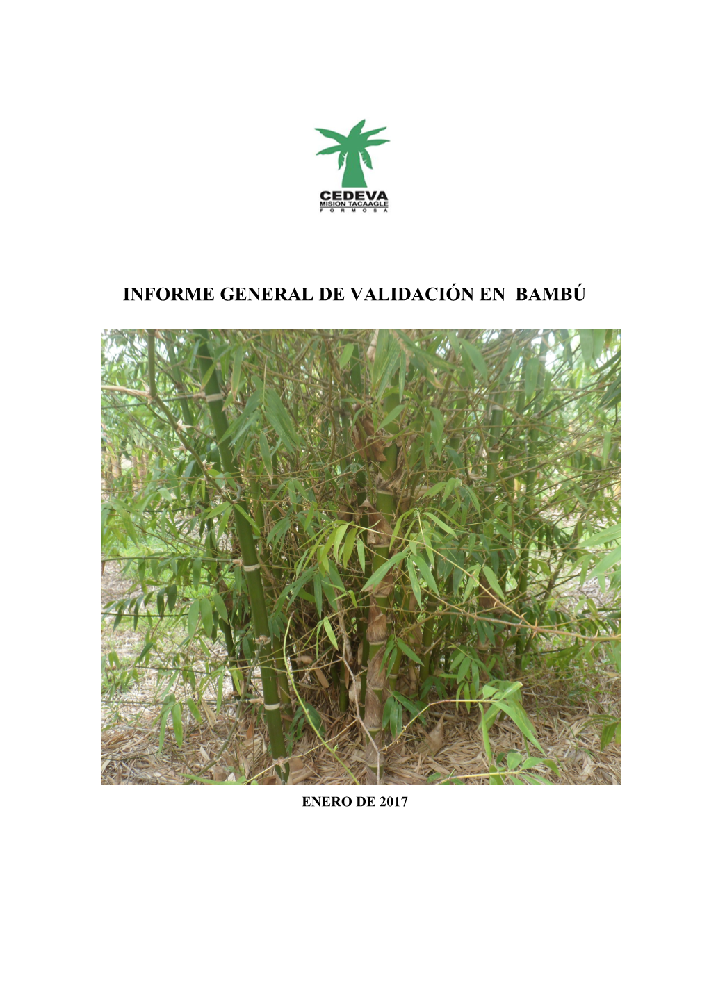 Informe General De Validación En Bambú