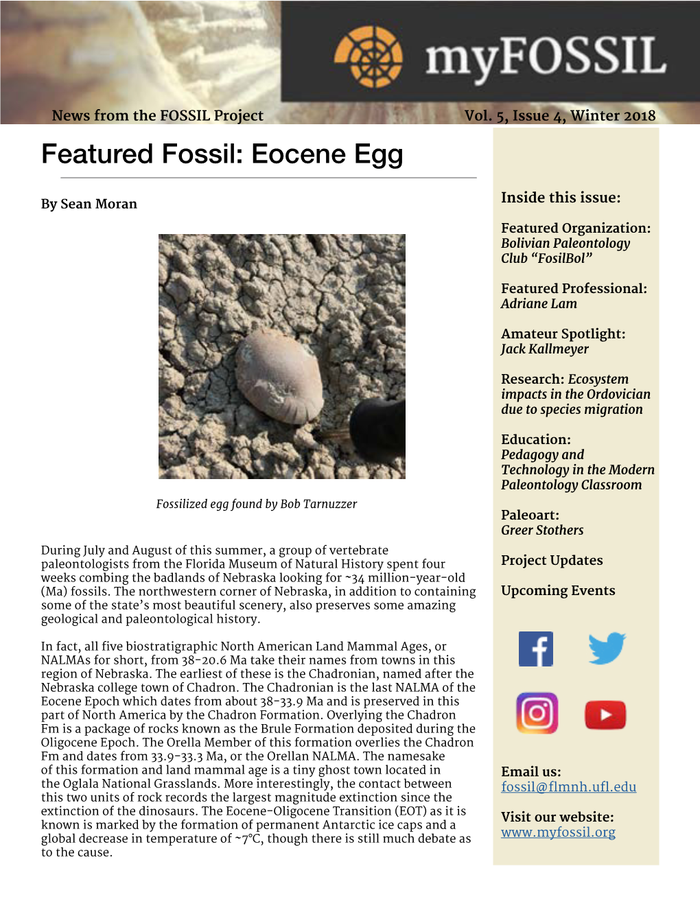 Featured Fossil: Eocene Egg