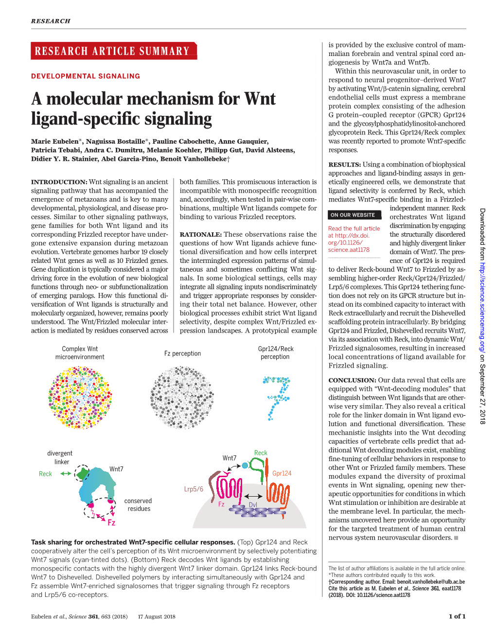 A Molecular Mechanism for Wnt Ligand-Specific Signaling Marie Eubelen, Naguissa Bostaille, Pauline Cabochette, Anne Gauquier, Patricia Tebabi, Andra C